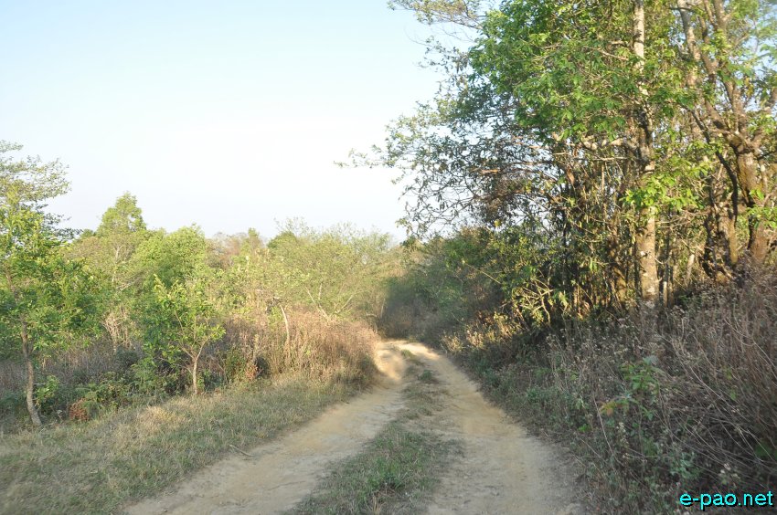 Pathetic road condition of Tongjei Maril also known as Old Cachar Road as seen in the third week of April 2014