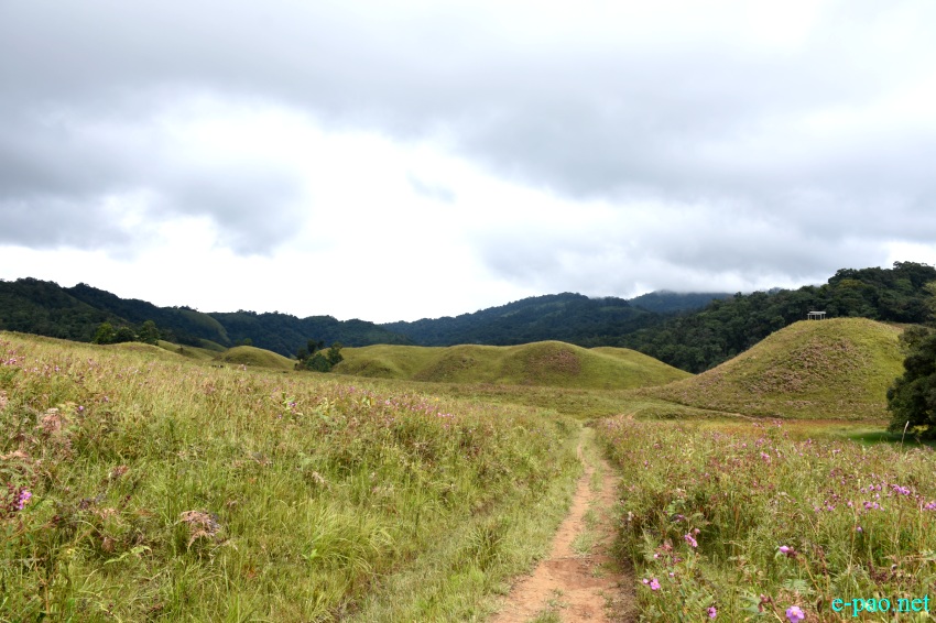 Buning Meadow  / Piulong Valley in Tamenglong District :: 11th November 2019