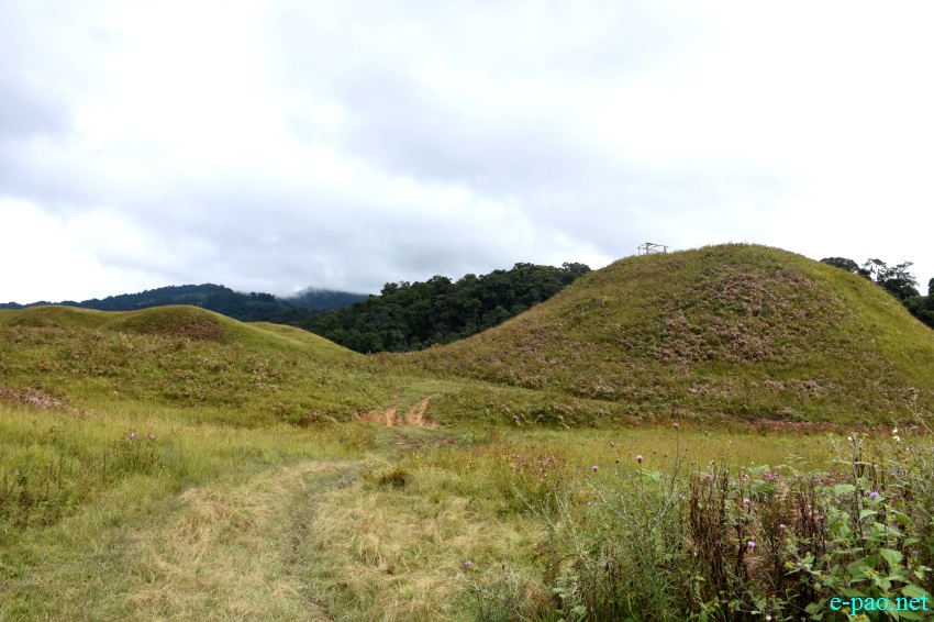 Buning Meadow  / Piulong Valley in Tamenglong District :: 11th November 2019