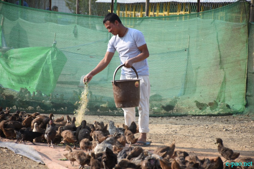  A poultry farm at Nongpok Sanjenbam village on 17th March 2019 