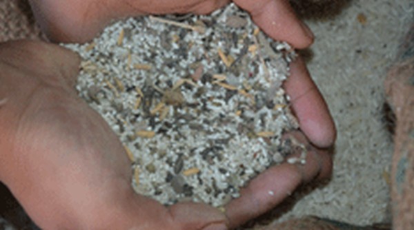 Impurities found in Anganwadi rice