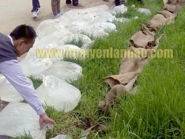 Liquor seized, destroyed  in Ukhrul