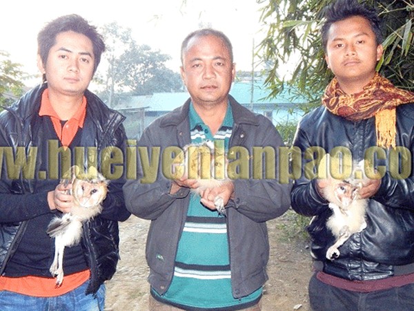 PFA Manipur continues to rescue animals