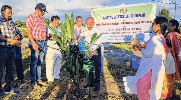 Oil Palm Based Intercropping System launched