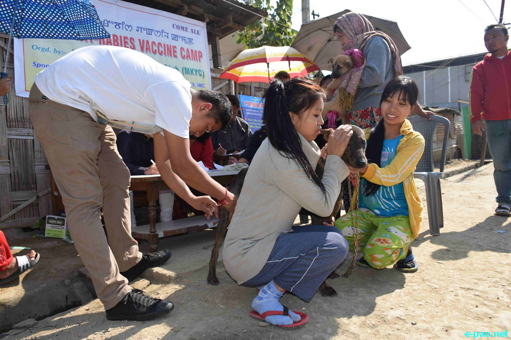 Helping & caring man's best friend-II : Anti-rabies vaccination drive at Imphal East :: 25 Jan 2015
