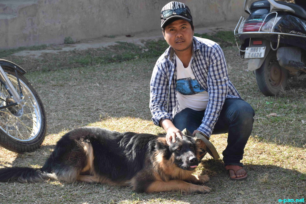 Helping & caring man's best friend-II : Anti-rabies vaccination drive at Imphal East :: 25 Jan 2015