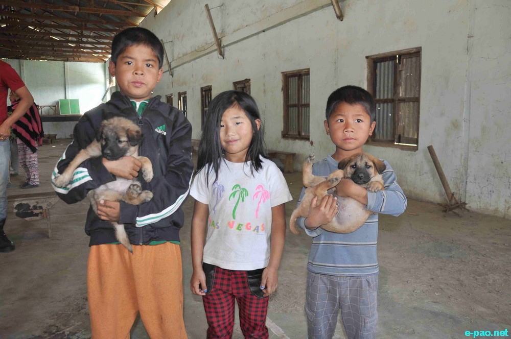 Helping & caring man's best friend : Anti-rabies vaccination drive at CCpur :: 20 Jan 2015   