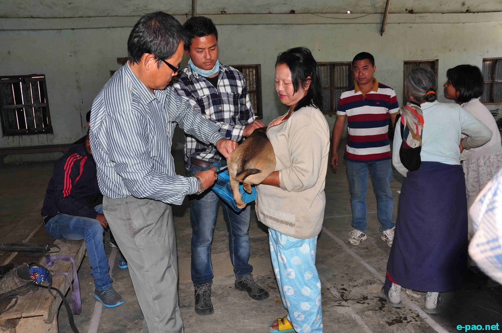 Helping & caring man's best friend : Anti-rabies vaccination drive at CCpur :: 20 Jan 2015