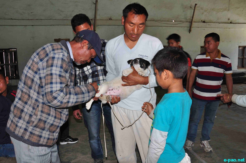 Helping & caring man's best friend : Anti-rabies vaccination drive at CCpur :: 20 Jan 2015