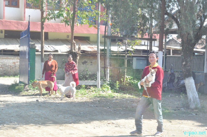 Anti-Rabies Vaccination administered  at State Veterinary Hospital, Sanjenthong, Imphal :: 20 January 2015