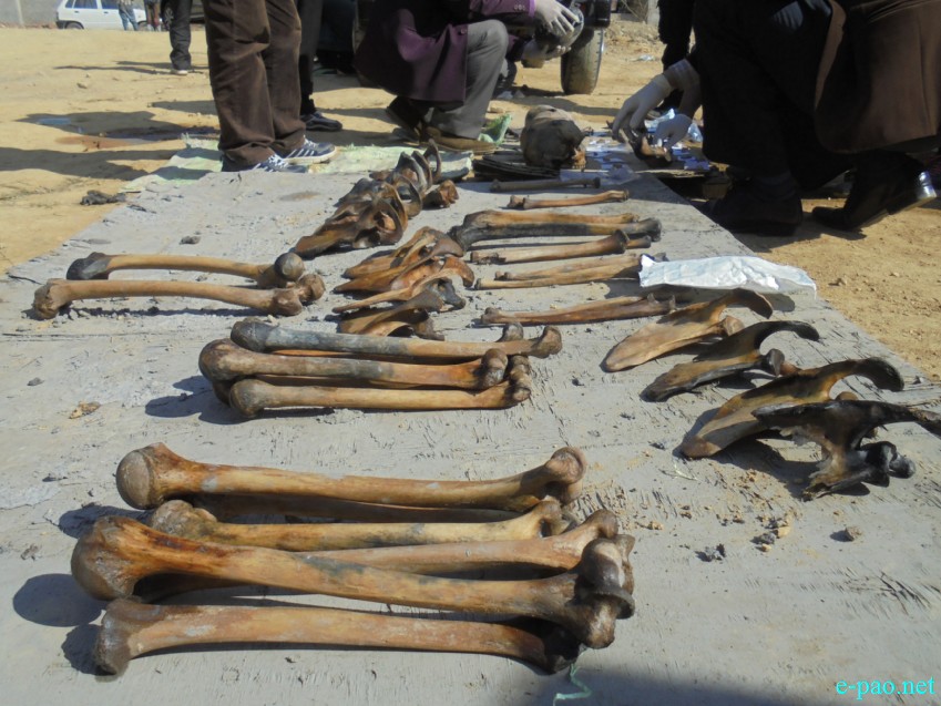 Skeletal remains of at least 8 persons were discovered at construction site at Tombisana High School :: 26 December 2014