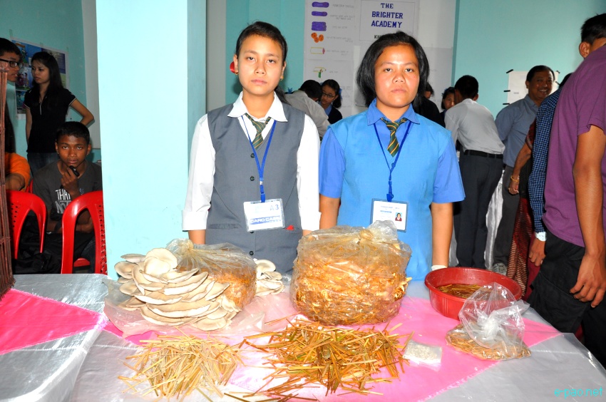 'Science Meet 2013'  at Lamyanba Shanglen, Imphal : Theme 'Genetically Modified Crops and Food Security'  :: May 11-15 2013