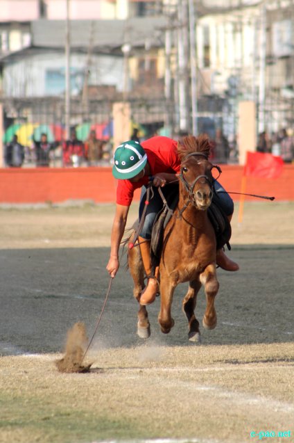 10th Director General Assam Rifles Cup State Equestrian Championship at Pologround, Imphal :: 20 January 2013