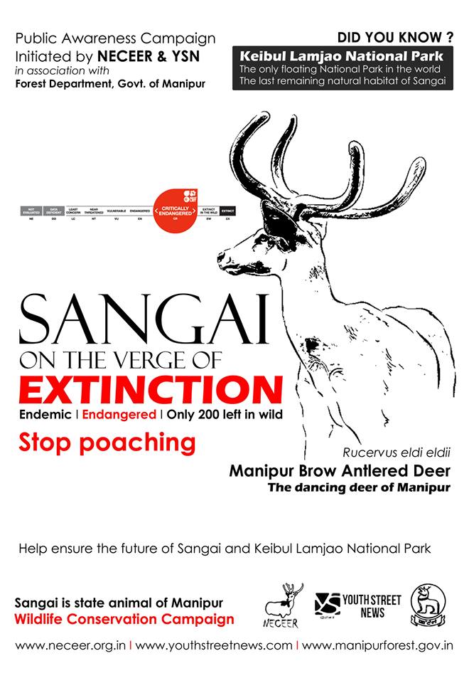 Campaign to conserve endangered Sangai :  Manipur Brow Antlered Deer