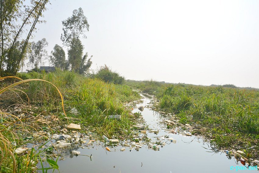 Waste materials flow from Nambul River filtered at the border area of Loktak (in Bishnupur District) :: January 2016