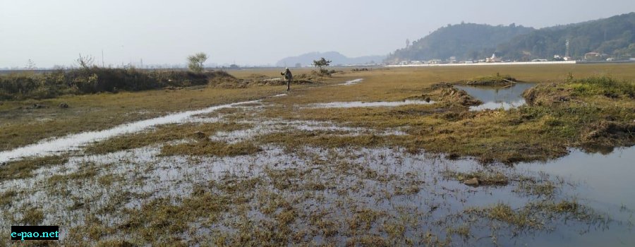 Reviving Lamphelpat: A triumph for Conservation in Manipur :: March 2024