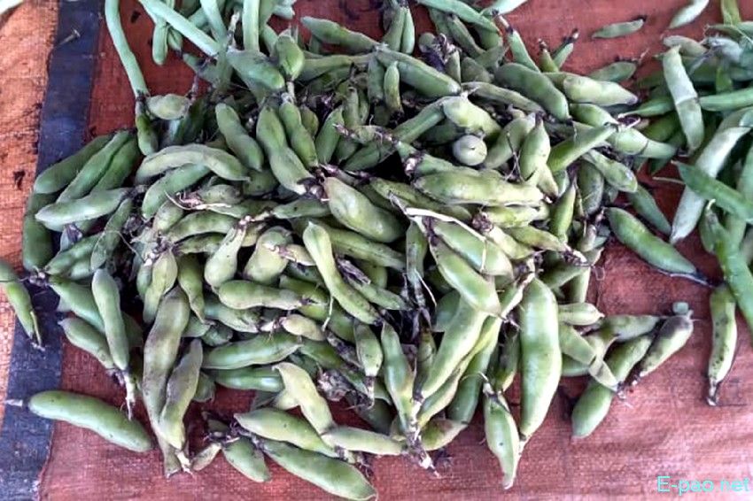 Seasonal Vegetables at Waithou Keithel :: 25th October 2025