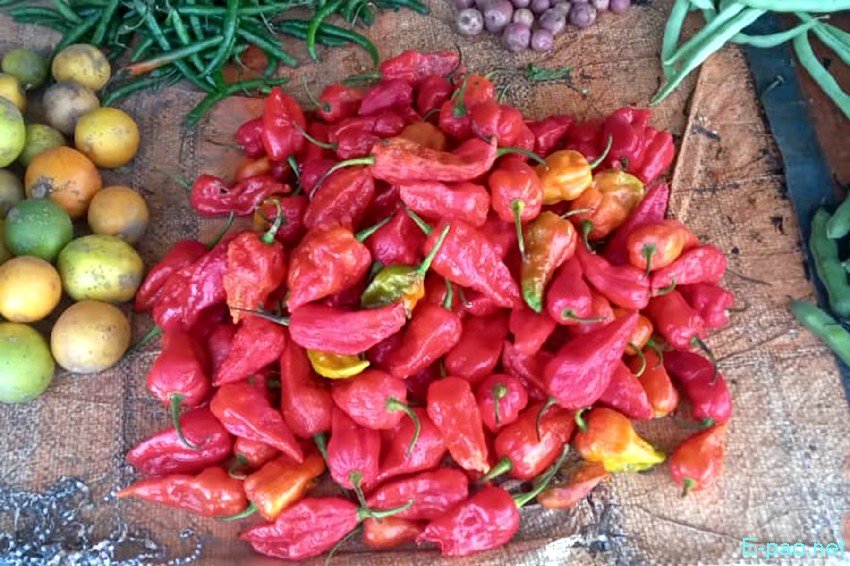 Seasonal Vegetables at Waithou Keithel :: 25th October 2025