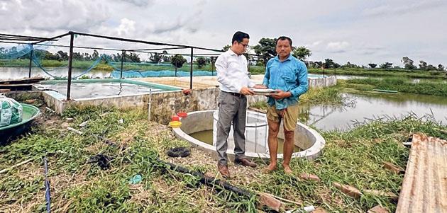 Manipur scripts success in Sareng breeding