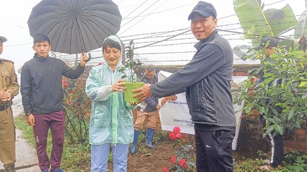 Weeklong plantation drive kicks off at Ukhrul