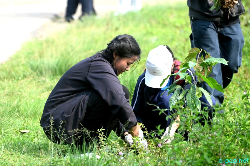 Mass Tree Plantation : World Environment Day at Lamdeng Mamang Leikai :: 5th June 2026