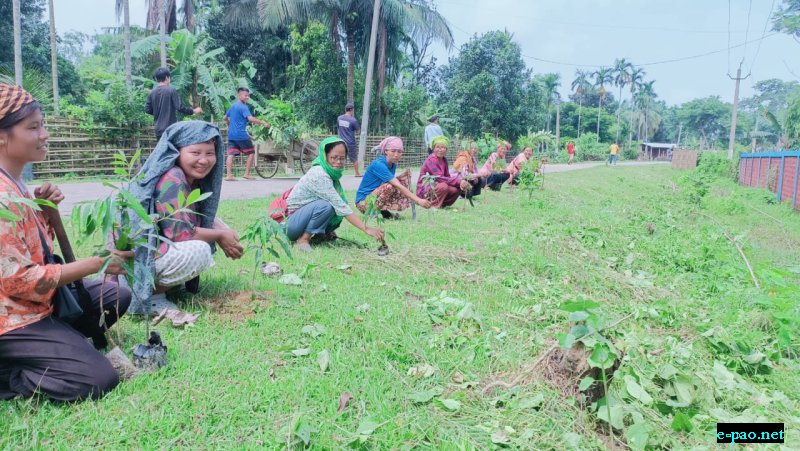  Plantation drives to promote environmental sustainability in Tripura, Assam and Manipur 