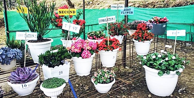  Problems and prospects of floriculture in Manipur 